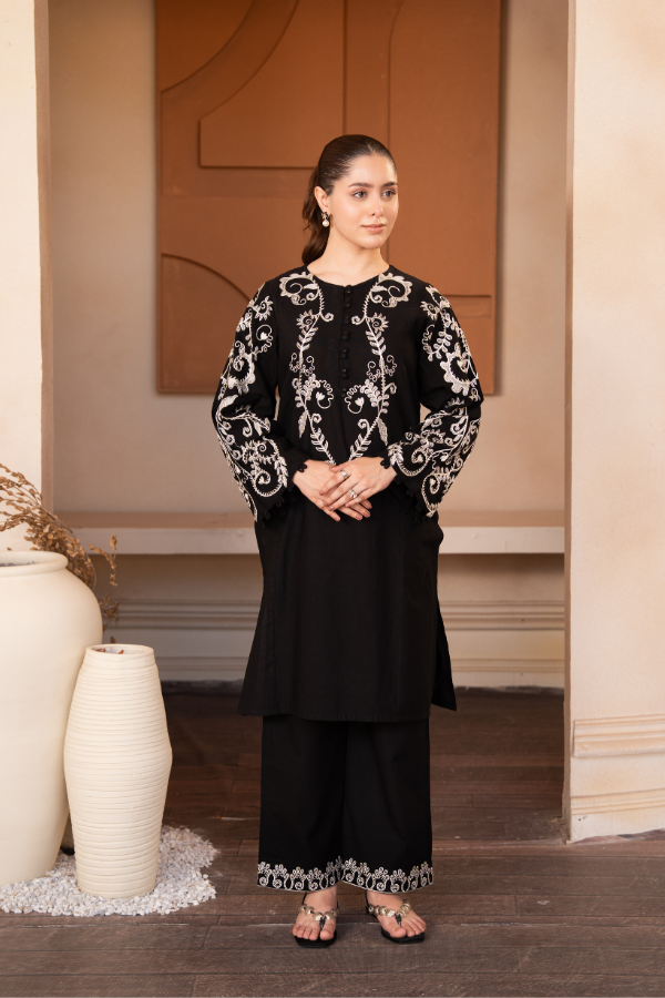 2 Piece - Embroidered Khaddar Suit - AEK - 01