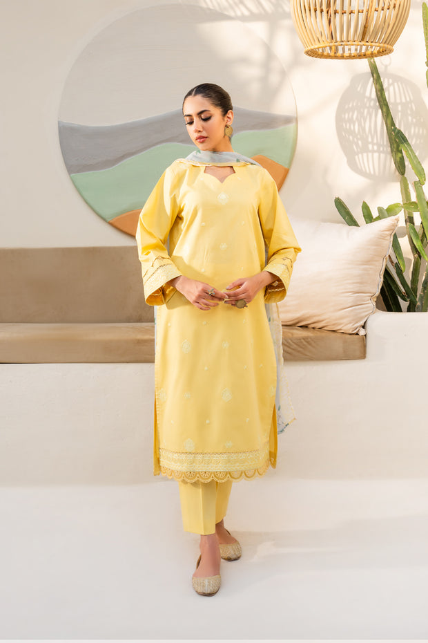 3 Piece - Embroidered Lawn Suit - Maane-meer